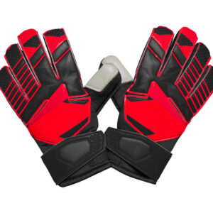 Goalkeeper Gloves